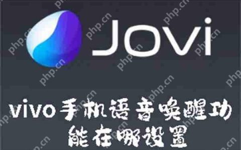 vivo手机语音唤醒功能在哪设置