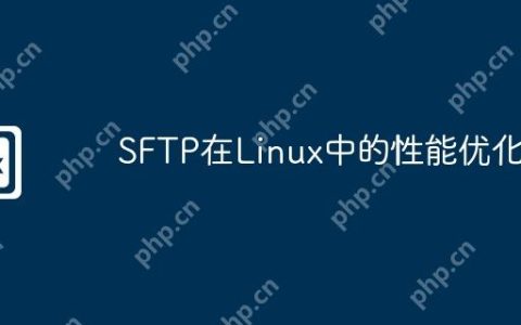 SFTP在Linux中的性能优化
