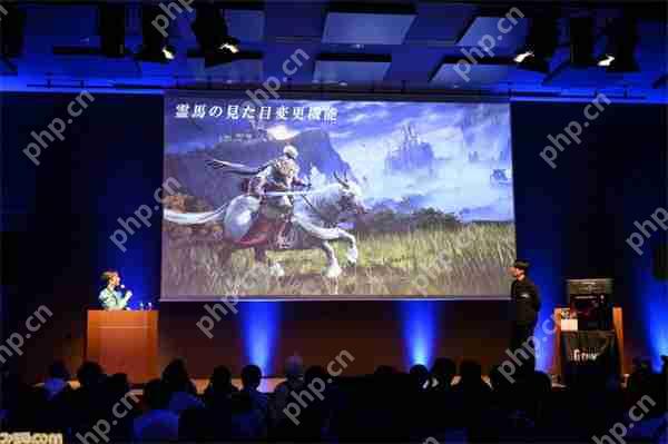 NS2《艾尔登法环:褪色版》新情报:新增两大职业