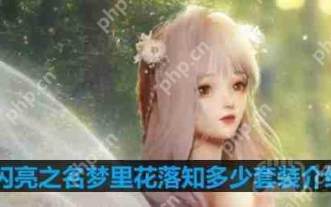 以闪亮之名梦里花落知多少套装介绍-梦里花落知多少细节展示