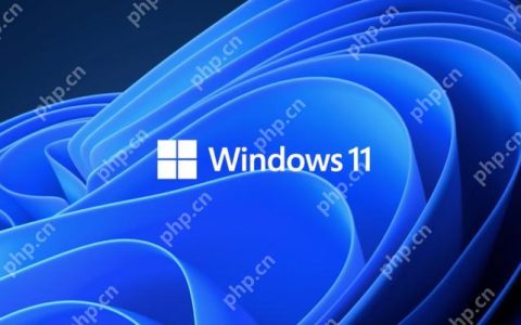win11怎样关闭登录密码 win11取消登录密码设置教程