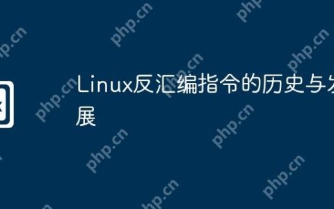 Linux反汇编指令的历史与发展
