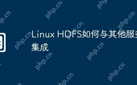 Linux HDFS如何与其他服务集成