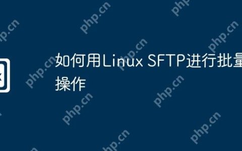 如何用Linux SFTP进行批量操作
