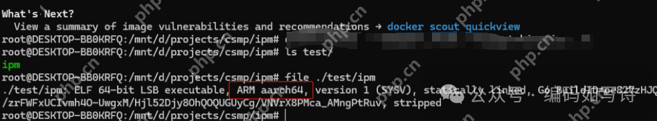 神器:WSL和Docker--程序员和运维人员的致胜法宝