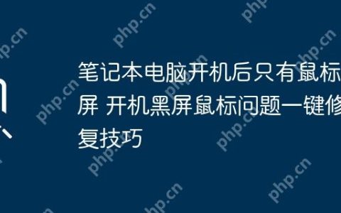 笔记本电脑开机后只有鼠标黑屏 开机黑屏鼠标问题一键修复技巧