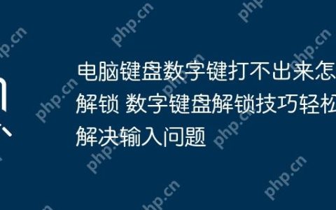电脑键盘数字键打不出来怎么解锁 数字键盘解锁技巧轻松解决输入问题