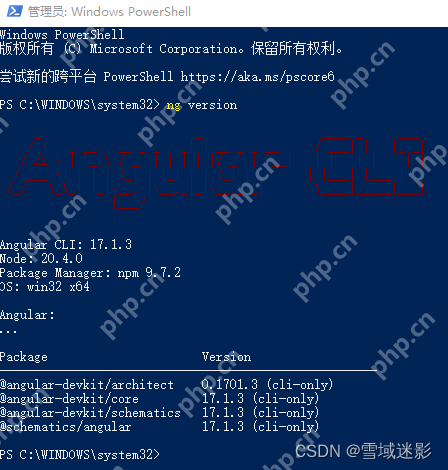 如何在 Windows 上安装 Angular：Angular CLI、Node.js 和构建工具指南