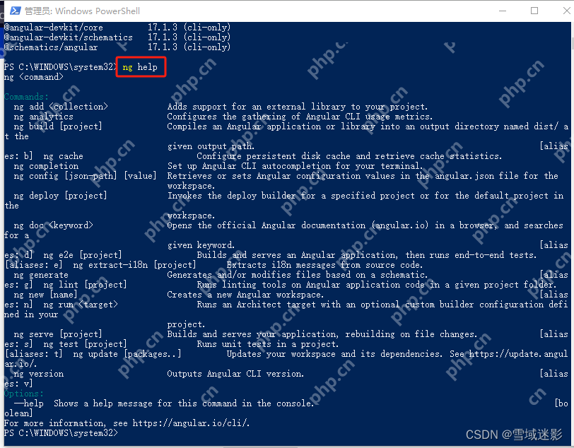 如何在 Windows 上安装 Angular：Angular CLI、Node.js 和构建工具指南
