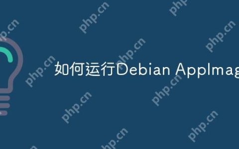 如何运行Debian AppImage