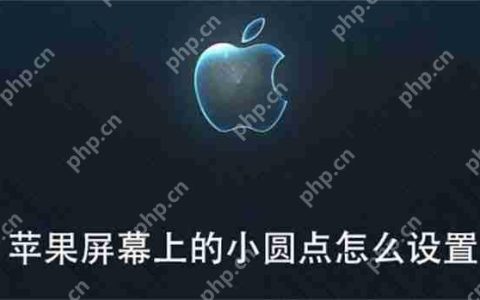 苹果屏幕上的小圆点怎么设置