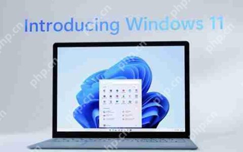 Windows11什么时候推送