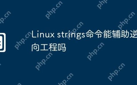 Linux strings命令能辅助逆向工程吗