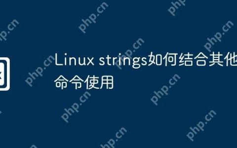 Linux strings如何结合其他命令使用