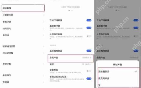 vivo手机录屏怎么录声音