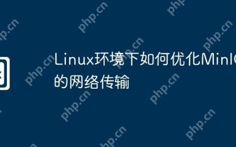 Linux环境下如何优化MinIO的网络传输