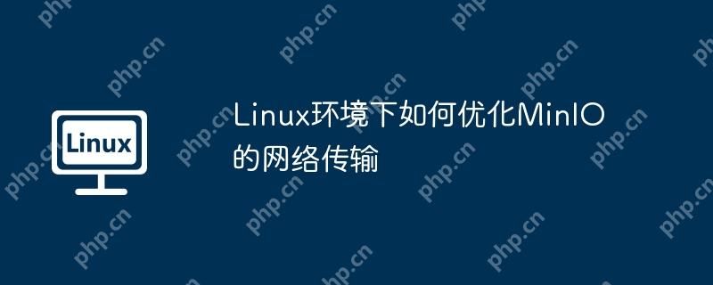 linux环境下如何优化minio的网络传输