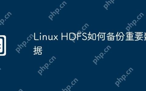 Linux HDFS如何备份重要数据