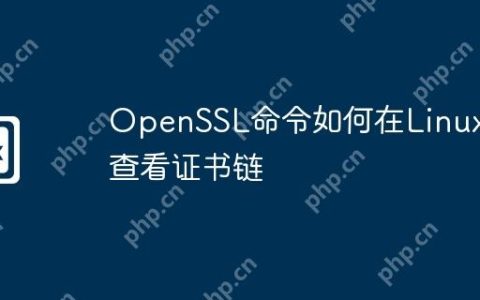 OpenSSL命令如何在Linux上查看证书链