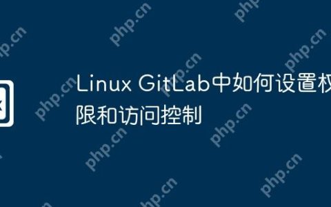 Linux GitLab中如何设置权限和访问控制