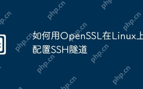 如何用OpenSSL在Linux上配置SSH隧道