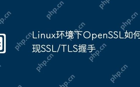 Linux环境下OpenSSL如何实现SSL/TLS握手