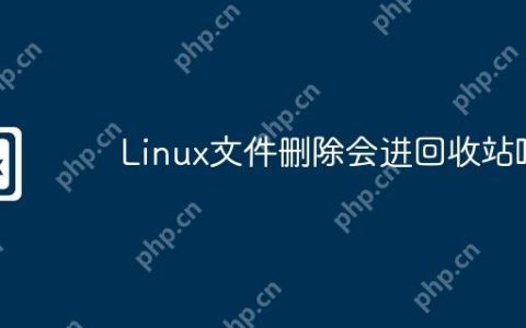 Linux文件删除会进回收站吗