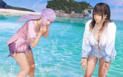 《维纳斯璀璨假期 死或生Xtreme》主创称续作需观望