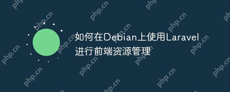 如何在Debian上使用Laravel进行前端资源管理