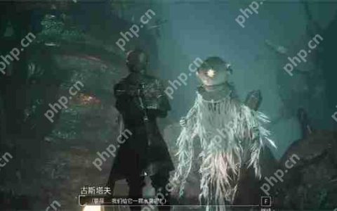 光与影33号远征队雷灵打不打