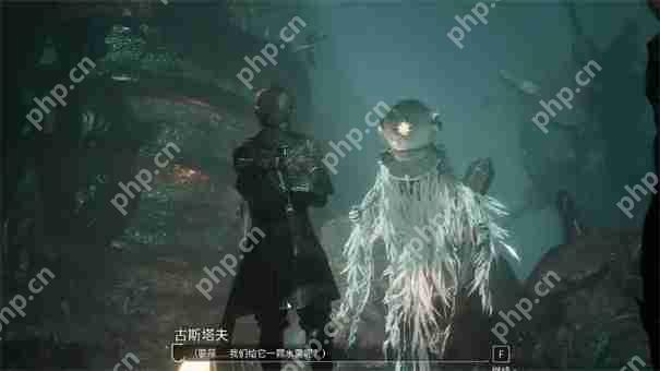光与影33号远征队雷灵打不打