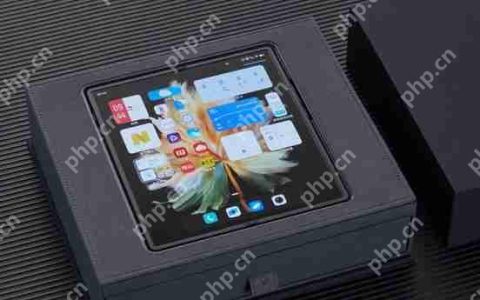 vivo x fold多重