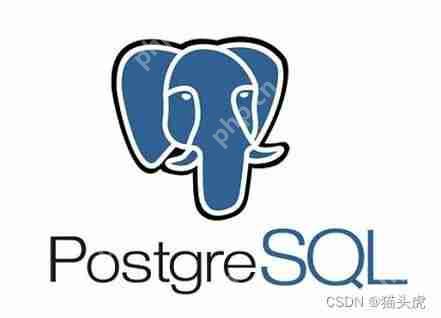 使用 Docker 在 Windows、Mac 和 Linux 系统轻松部署 PostgreSQL 数据库