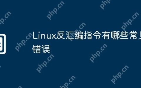 Linux反汇编指令有哪些常见错误