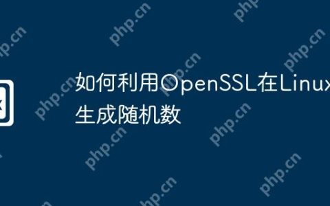 如何利用OpenSSL在Linux上生成随机数