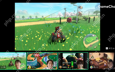 Switch 2实时通信功能安全细节 必须通过电话SMS认证