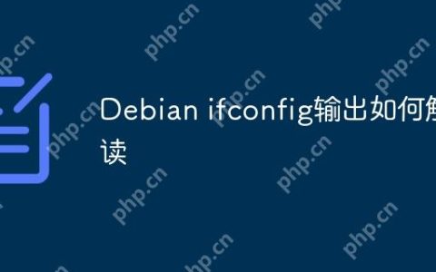 Debian ifconfig输出如何解读