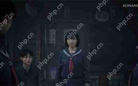 《寂静岭f》确认参加北美动漫博览会 更多信息即将公布