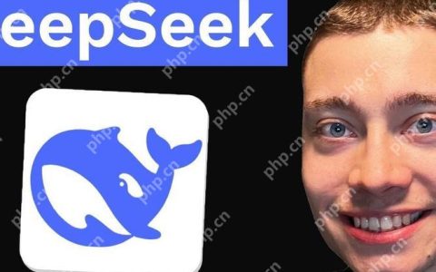 官方认证指南！DeepSeek满血版免费使用入口与高阶功能详解