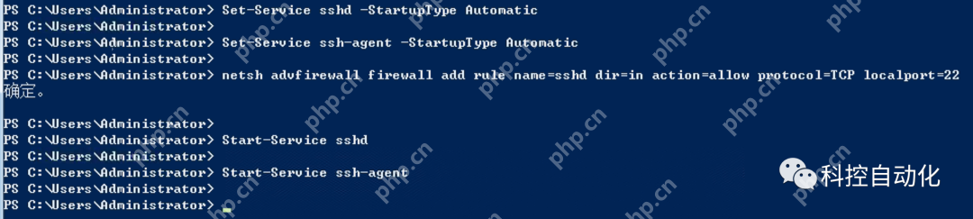 [教程] Windows Server 2022 系统开启Ssh Server服务