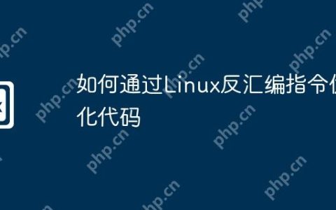 如何通过Linux反汇编指令优化代码