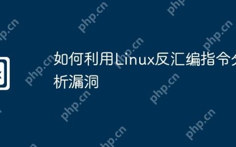 如何利用Linux反汇编指令分析漏洞