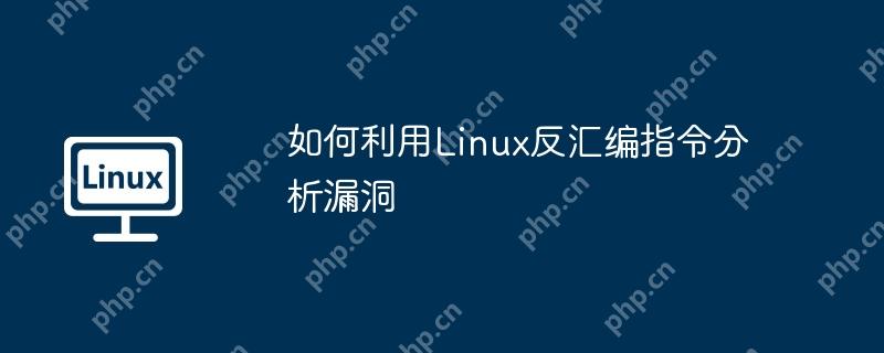 如何利用linux反汇编指令分析漏洞