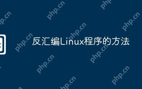 反汇编Linux程序的方法