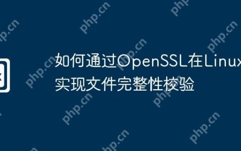如何通过OpenSSL在Linux上实现文件完整性校验