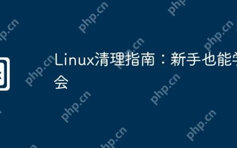 Linux清理指南：新手也能学会