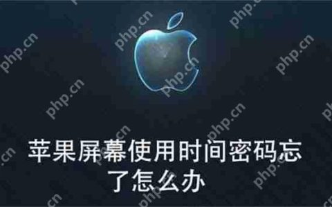 苹果屏幕使用时间密码忘了怎么办