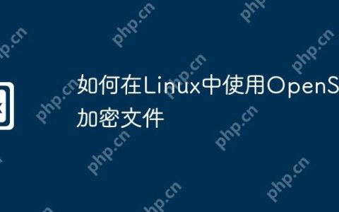 如何在Linux中使用OpenSSL加密文件