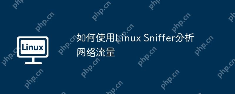 如何使用linux sniffer分析网络流量