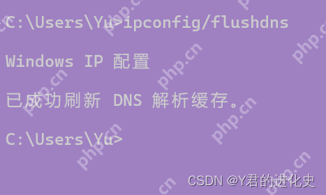 关于两步到位Chrome永久停止更新